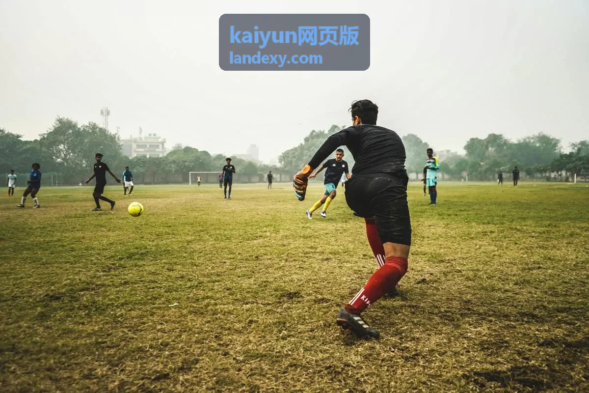 kaiyun网页版登录入口页面示意图