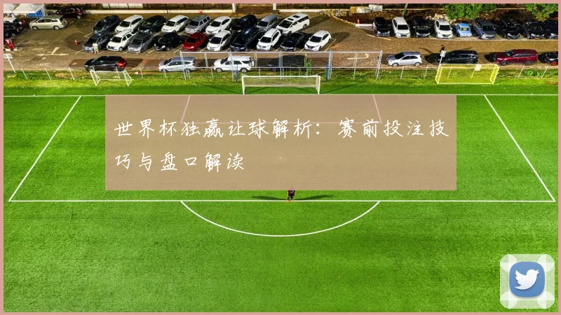 世界杯独赢让球解析：赛前投注技巧与盘口解读