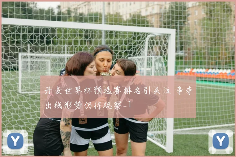 丹麦世界杯预选赛排名引关注 争夺出线形势仍待观察_1