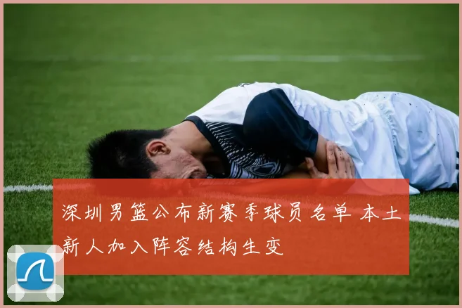 深圳男篮公布新赛季球员名单 本土新人加入阵容结构生变