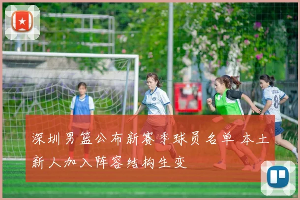 深圳男篮公布新赛季球员名单 本土新人加入阵容结构生变