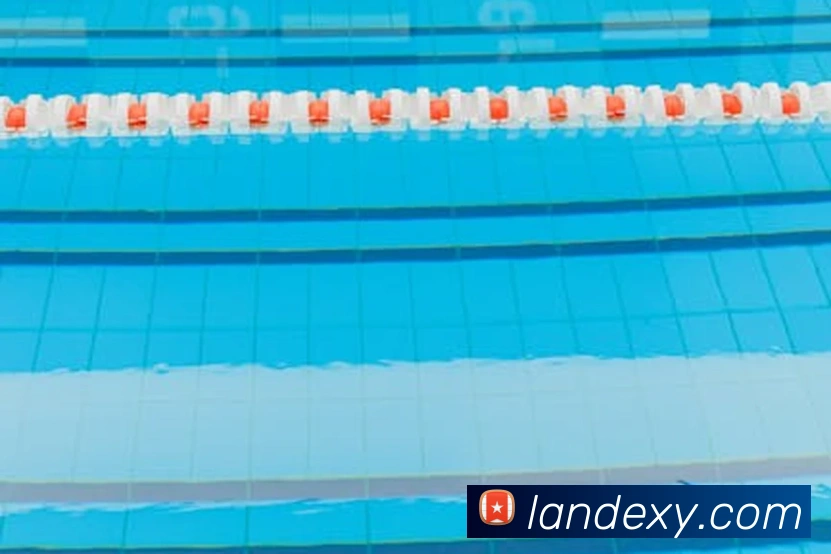 乐竞首页发展历程